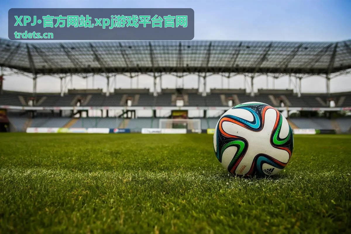 XPJ·官方网站平台信息导览封面