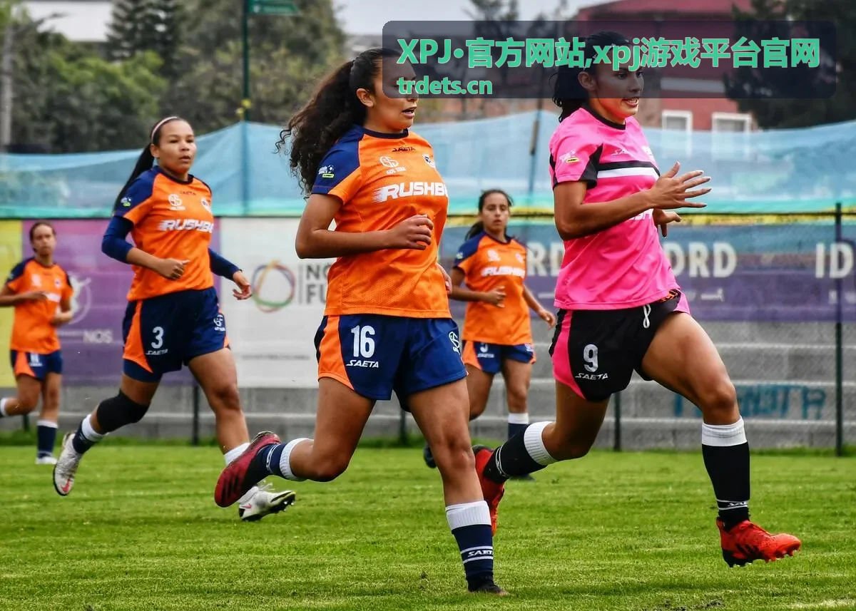 XPJ·官方网站入口指南重点内容