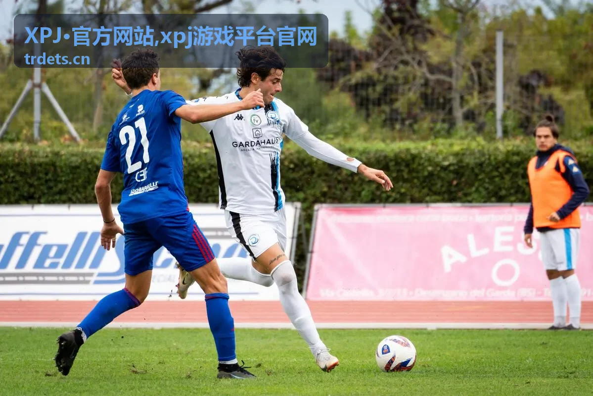 XPJ·官方网站更新公告说明图片